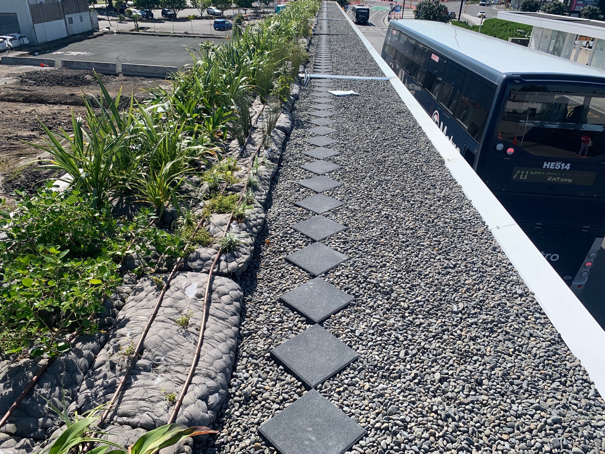 Panmure Bus Shelter Green Roof Project